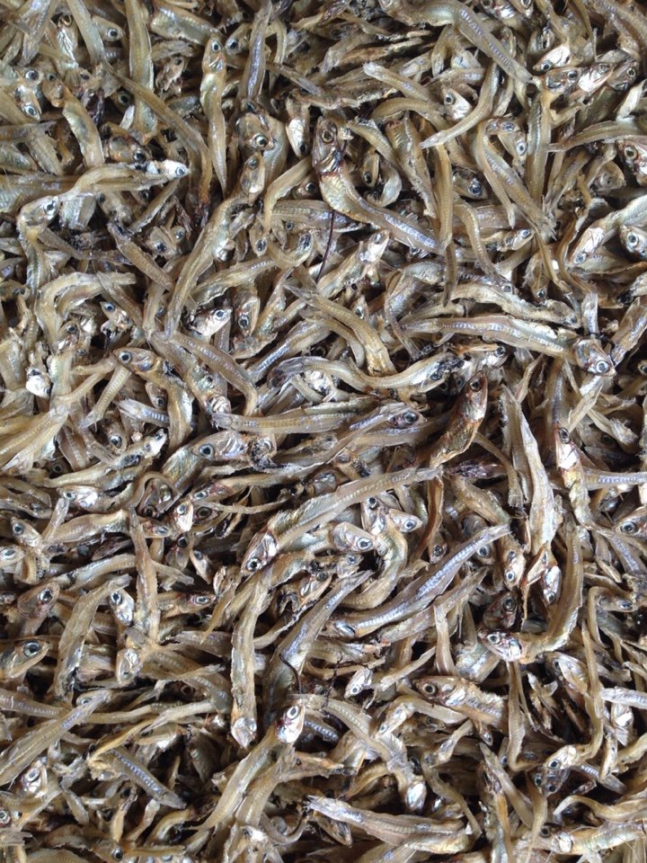 Dry Nethallu Cleaned